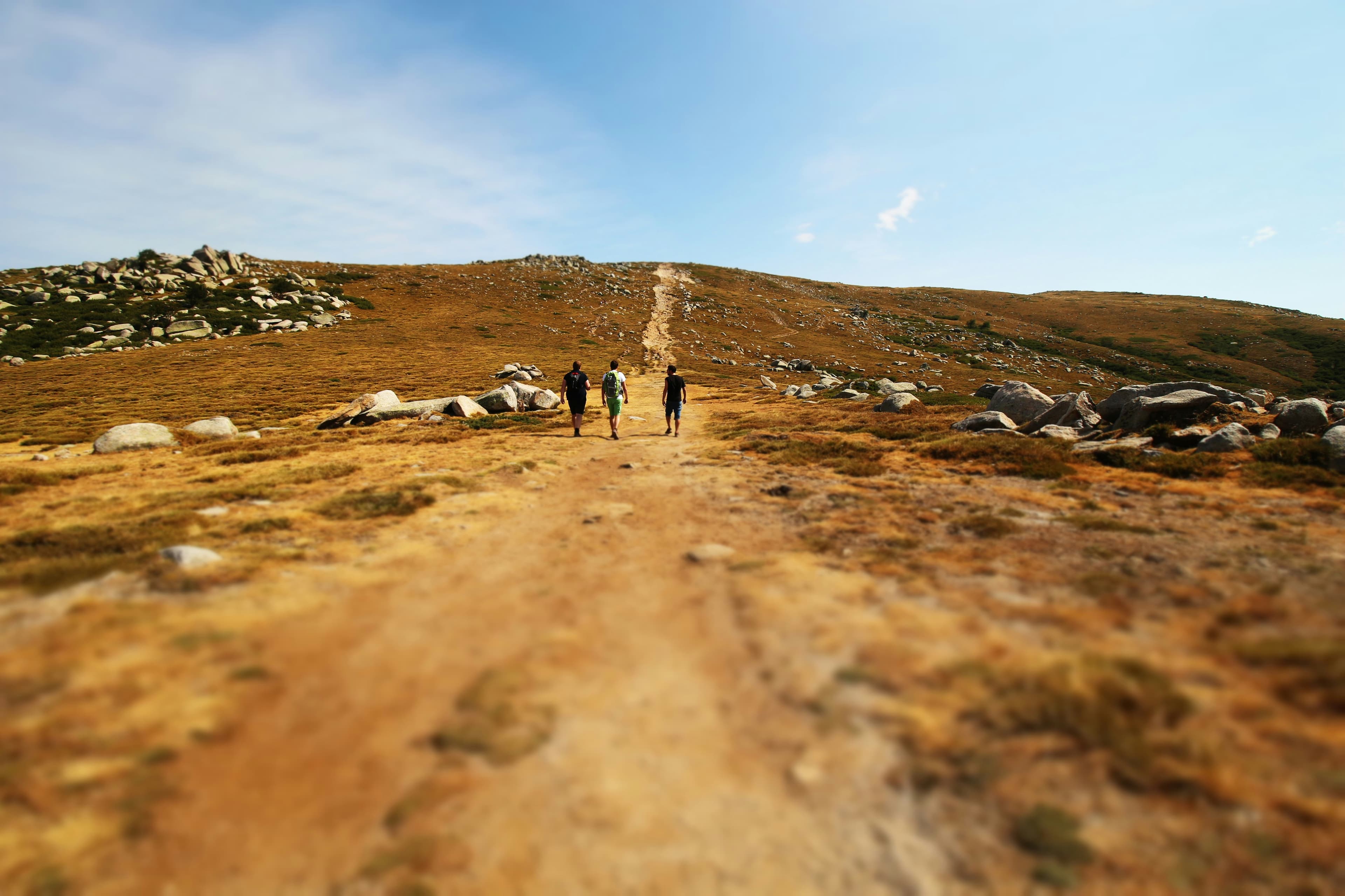 Top 10 Beginner-Friendly Treks in the Sahyadris