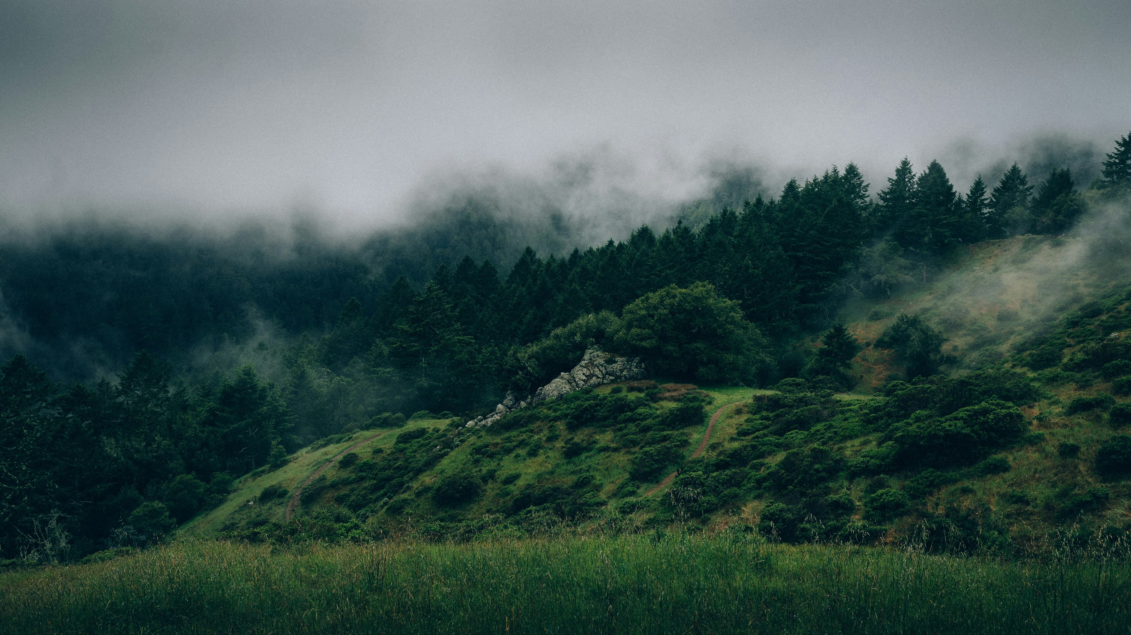 Scenic background of a trek - 2
